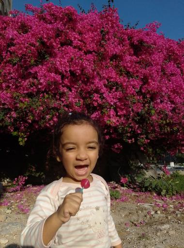 عکس پارک آزادگان