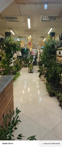 عکس مغازه باغ شیشه ای
