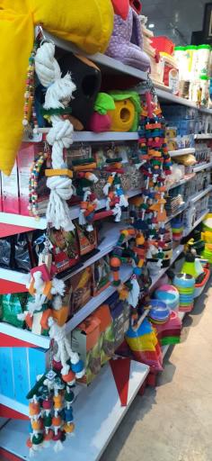 عکس کلینیک دامپزشکی و پت شاپ دینگو