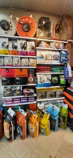 عکس کلینیک دامپزشکی و پت شاپ دینگو