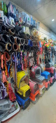 عکس کلینیک دامپزشکی و پت شاپ دینگو