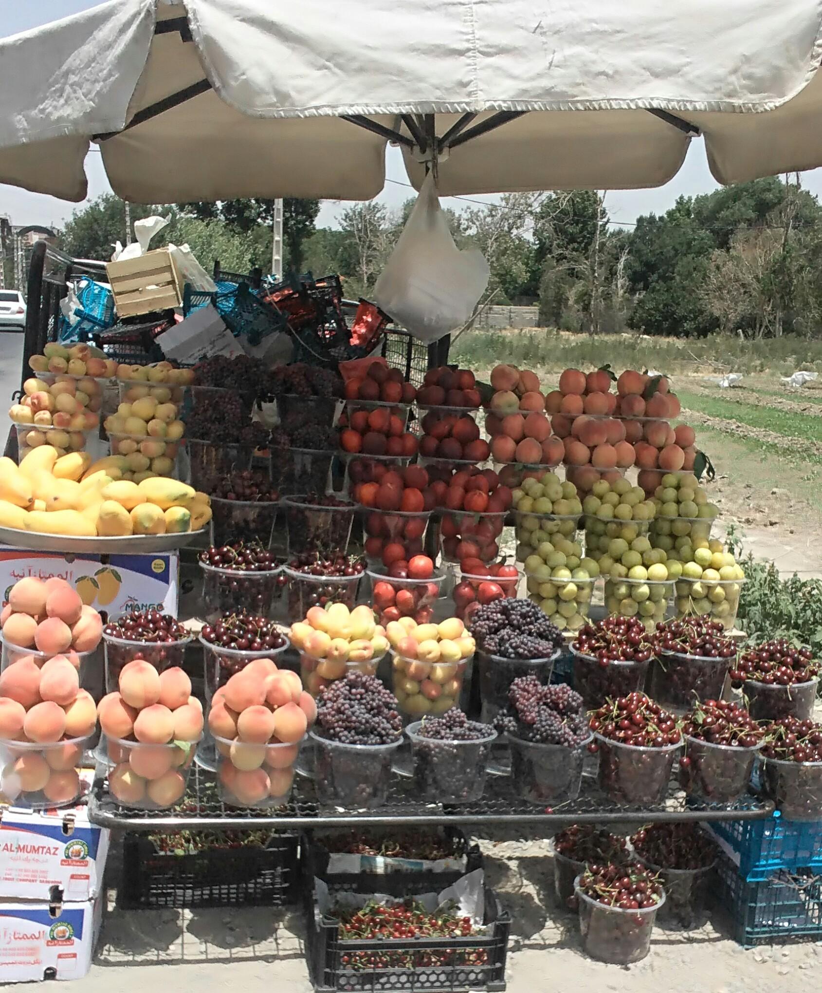 عکس میوه فروشی امینی