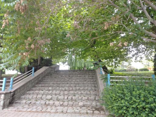 عکس پارک ساحل