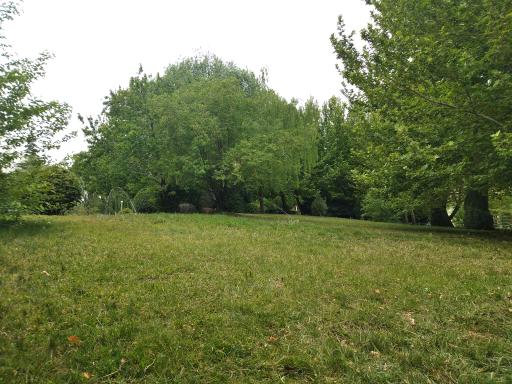 عکس پارک ساحل