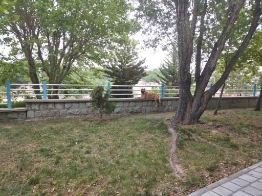 عکس پارک ساحل