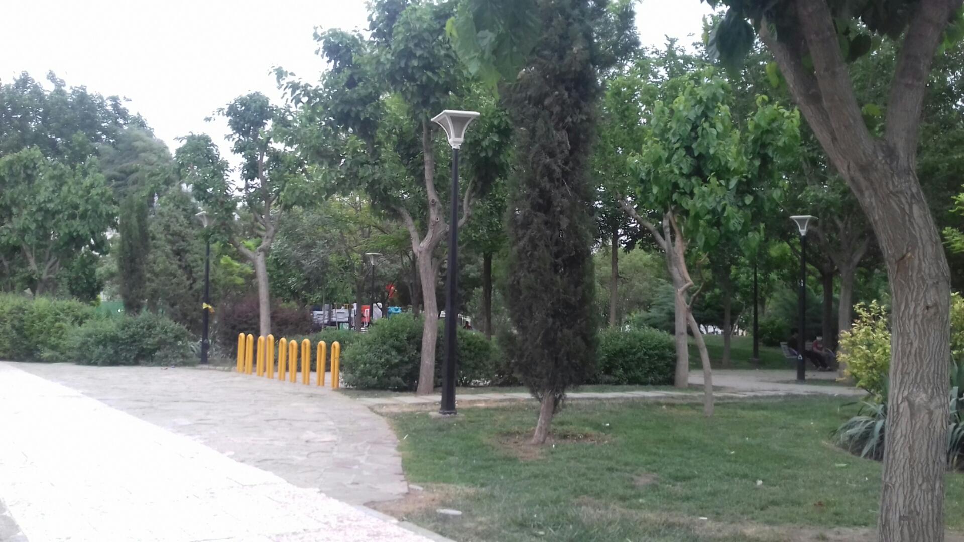 عکس بوستان یاس