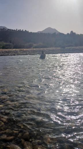 عکس رودخانه جاجرود