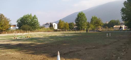 عکس باشگاه سوارکاری شهرک نمک آبرود 