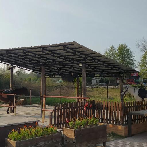 عکس باشگاه سوارکاری شهرک نمک آبرود 