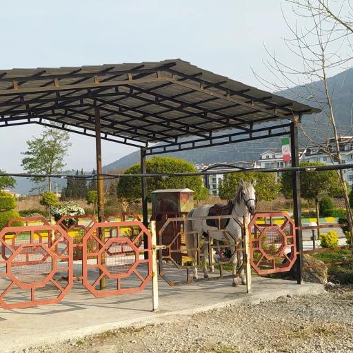 عکس باشگاه سوارکاری شهرک نمک آبرود 