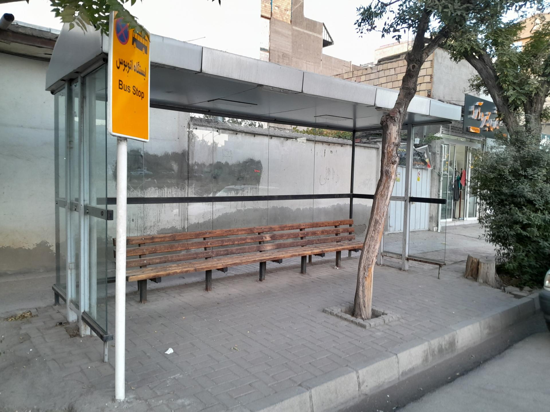 عکس  صبا غربی 4