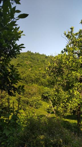 عکس حاجی آباد