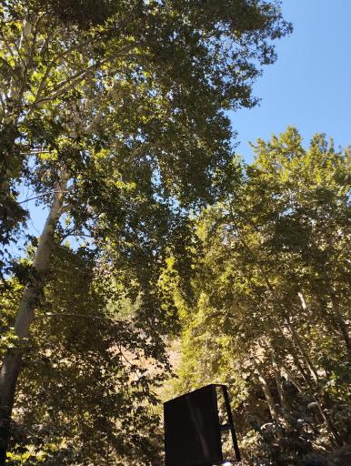 عکس پارک ساحل