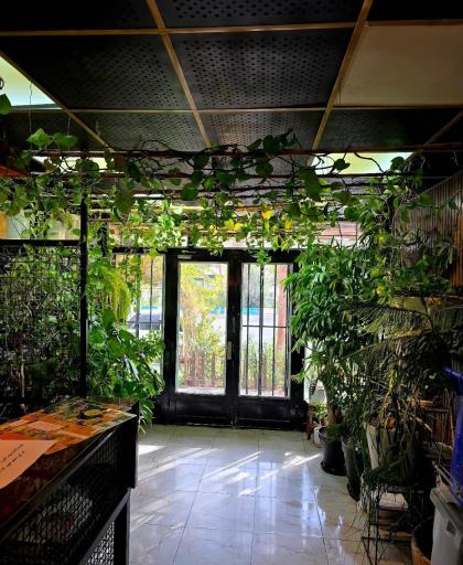 عکس فست فود و مرغ سوخاری لبخند 