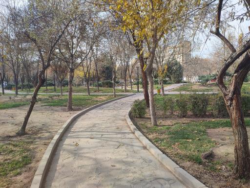 عکس بوستان یاس