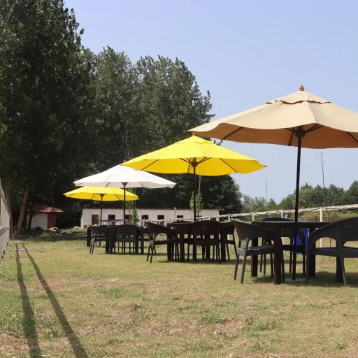 عکس باشگاه سوارکاری شهرک نمک آبرود 