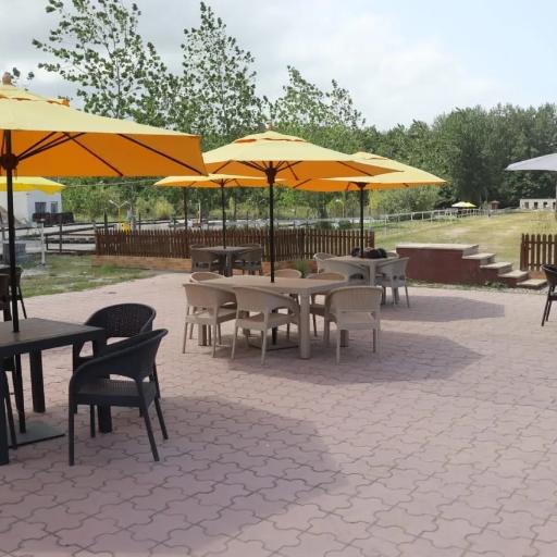 عکس باشگاه سوارکاری شهرک نمک آبرود 