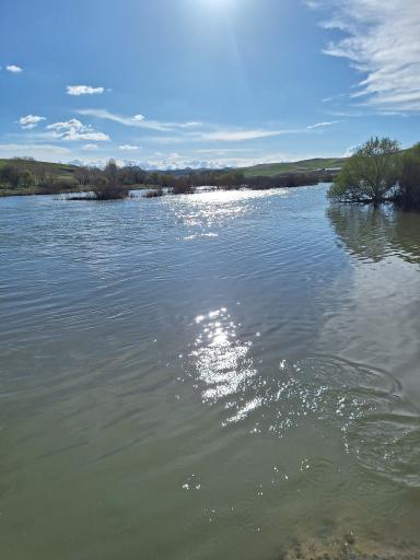 عکس قزل‌ اوزن