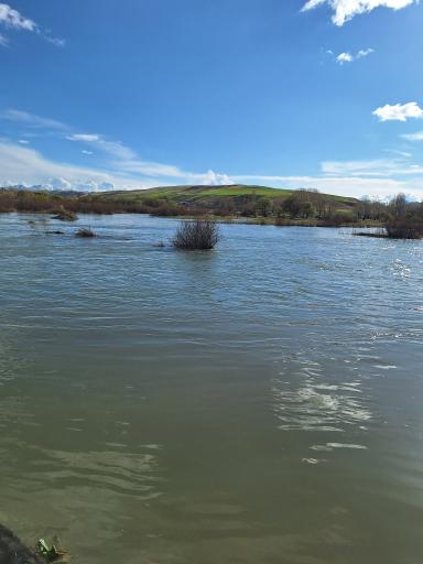 عکس قزل‌ اوزن