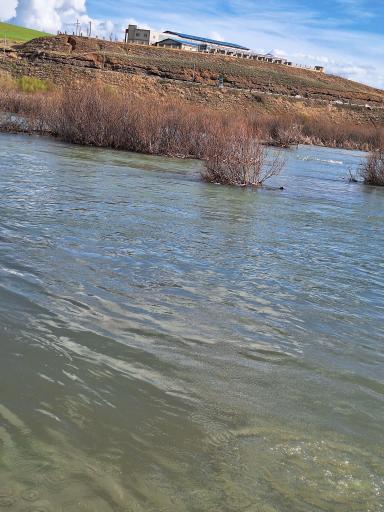 عکس قزل‌ اوزن