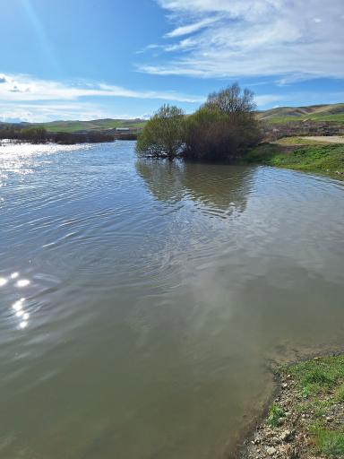 عکس قزل‌ اوزن