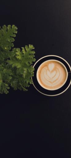 عکس کافه این‌بار