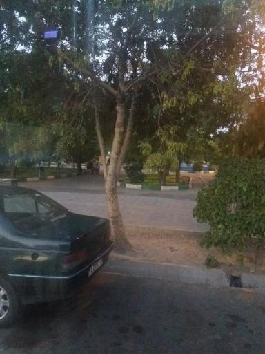 عکس پارک بابک