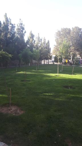 عکس پارک بابک