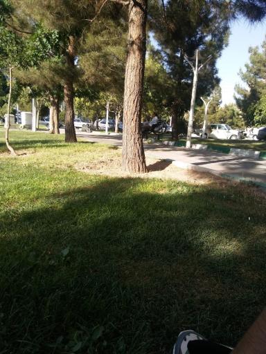 عکس پارک بابک