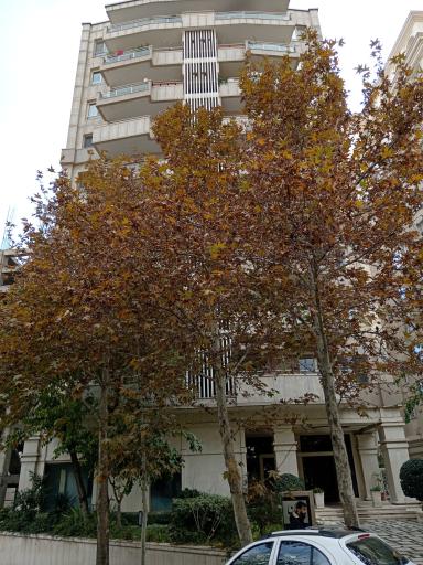 عکس برج باران