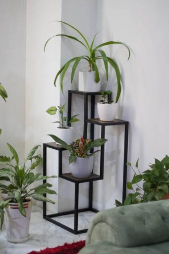 عکس پخش شلف و استند بشیرلو