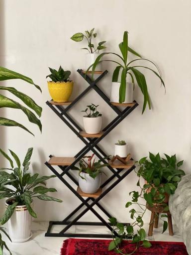 عکس پخش شلف و استند بشیرلو