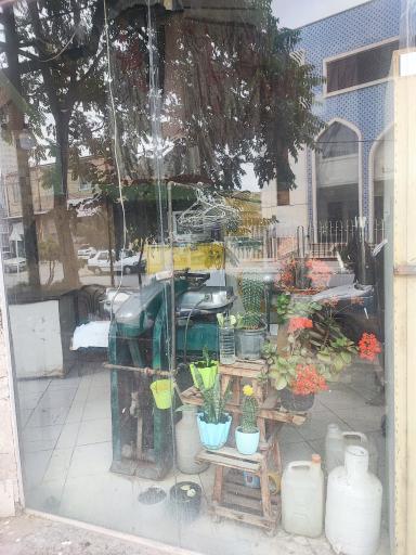 عکس خشکشویی اشکان 