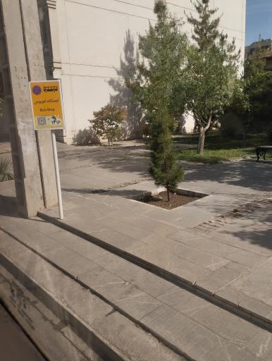 عکس  معلم 73