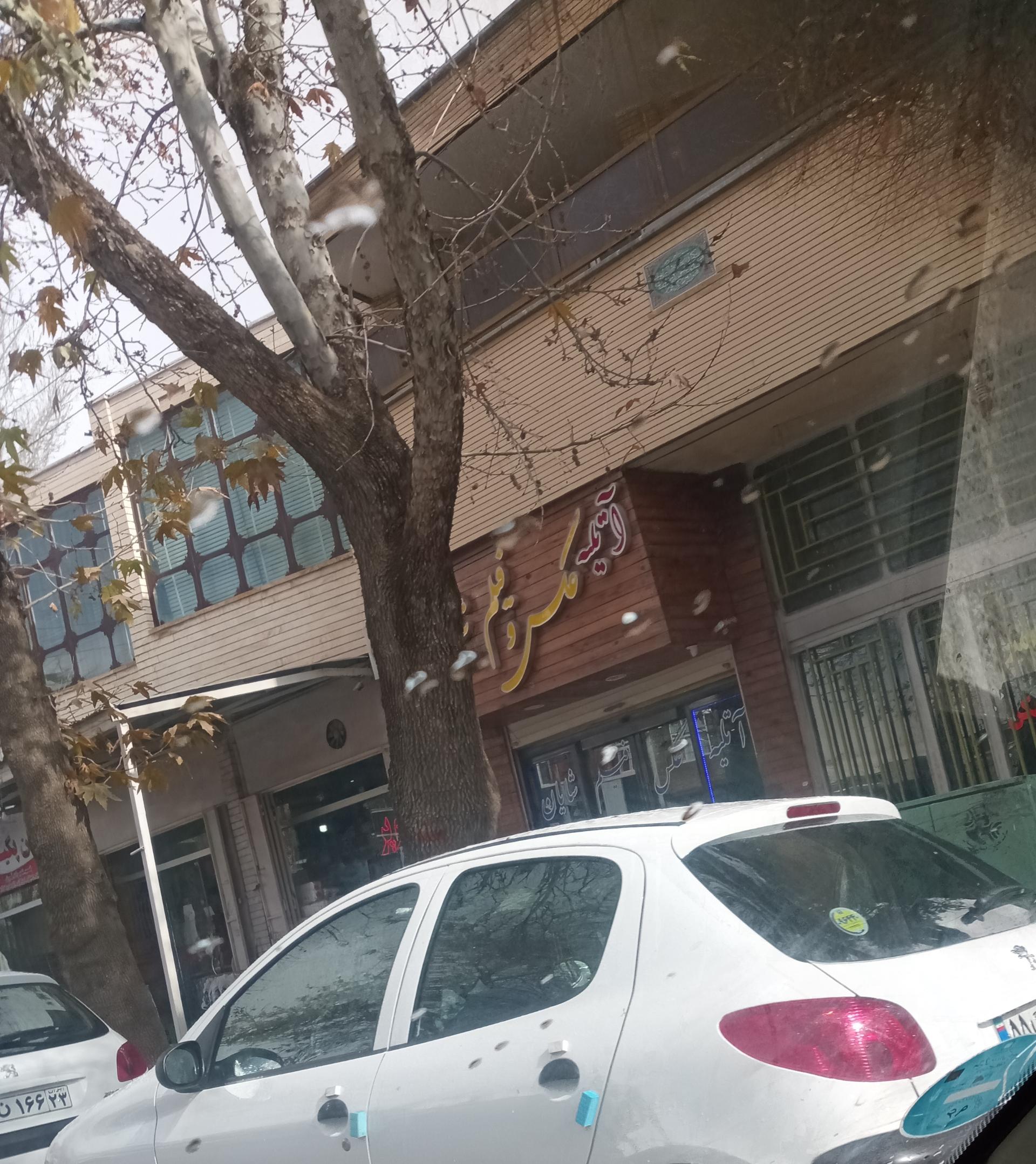 عکس عکس شایان 