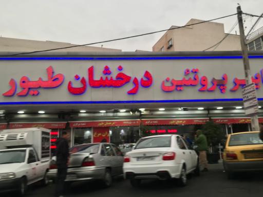 عکس هایپر پروتئین درخشان طیور
