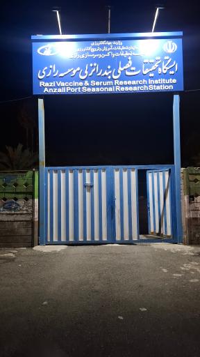 عکس پلاژ موسسه سرمسازی رازی