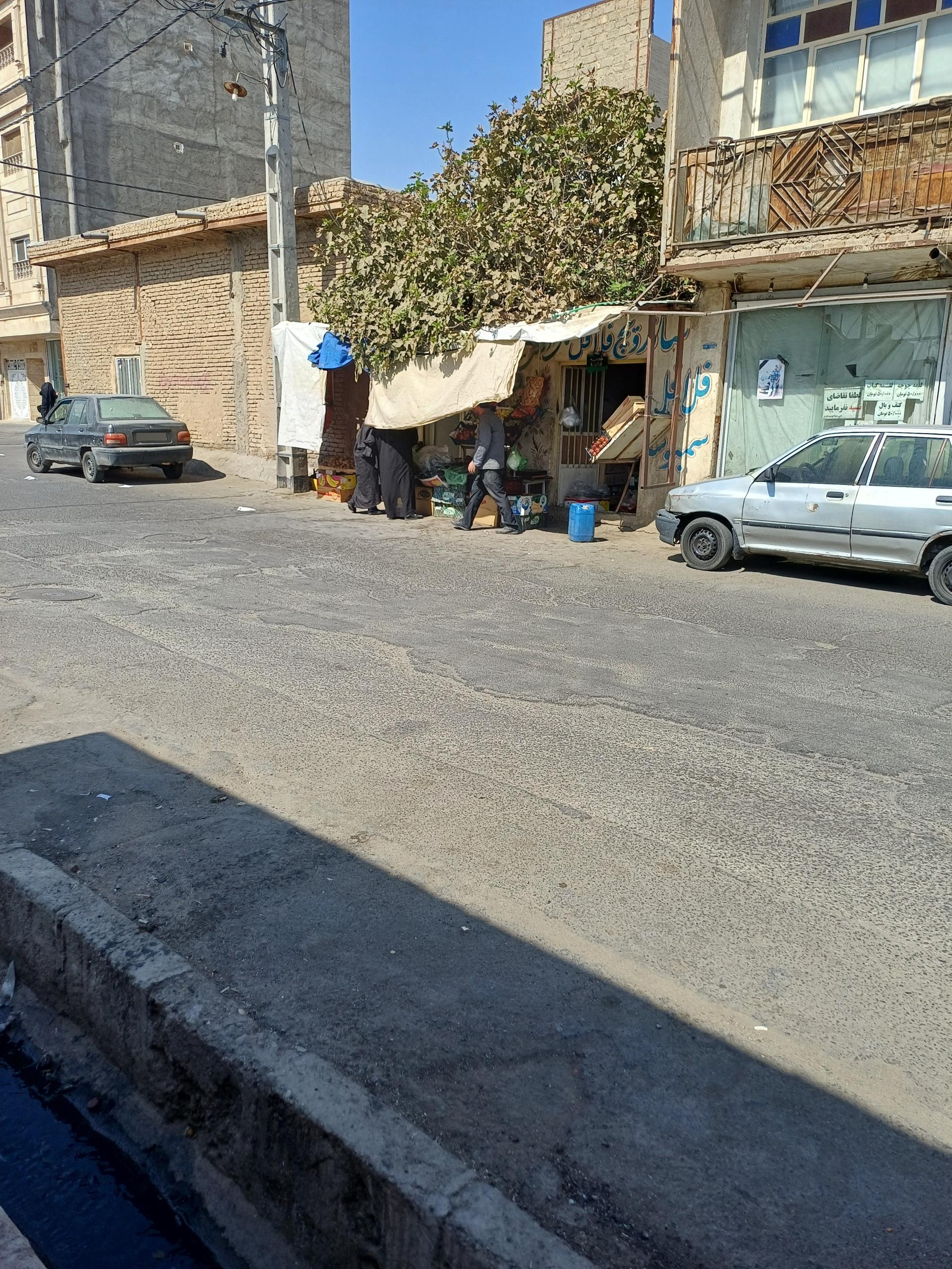 عکس میوه فروشی