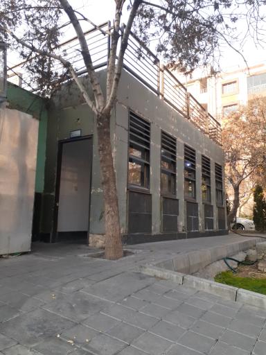 سرویس بهداشتی