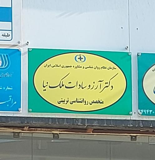 عکس دکتر آرزو سادات ملک نیا متخصص روانشاسی تربیتی