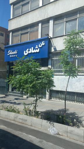 عکس نان فانتزی شادی