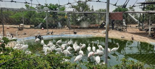 فاز 2 باغ پرندگان تهران