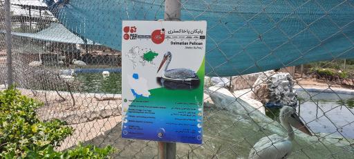 فاز 2 باغ پرندگان تهران