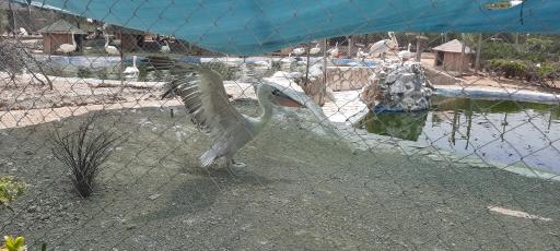 عکس فاز 2 باغ پرندگان تهران