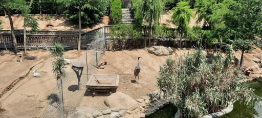 فاز 2 باغ پرندگان تهران