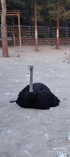 فاز 2 باغ پرندگان تهران