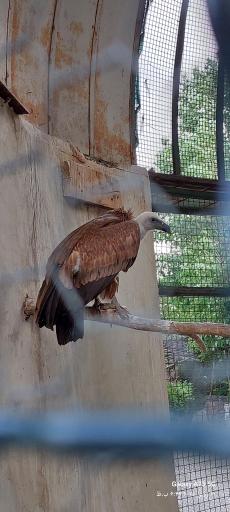 فاز 2 باغ پرندگان تهران