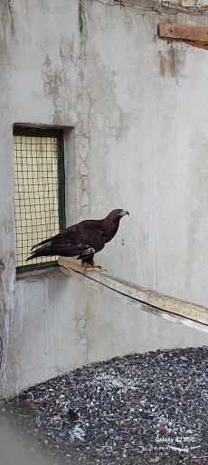 فاز 2 باغ پرندگان تهران