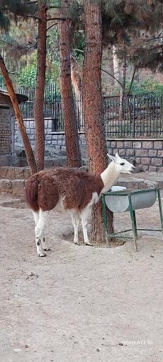 فاز 2 باغ پرندگان تهران