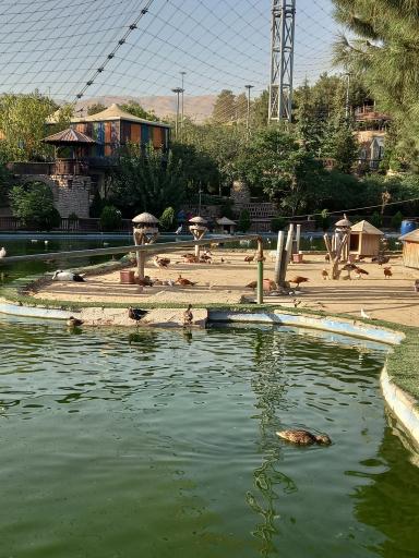 عکس فاز 2 باغ پرندگان تهران